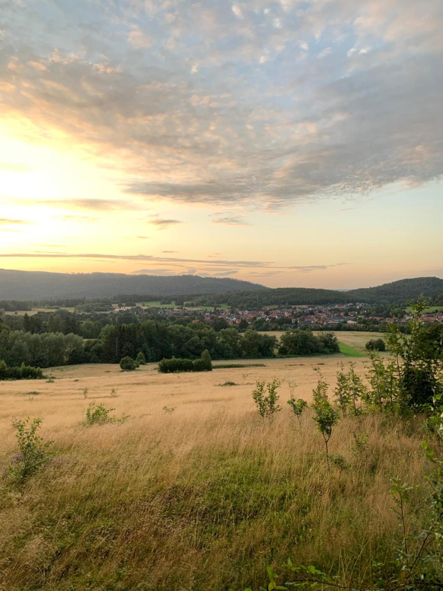 Villa Wolfs-Blick à Langelsheim Extérieur photo